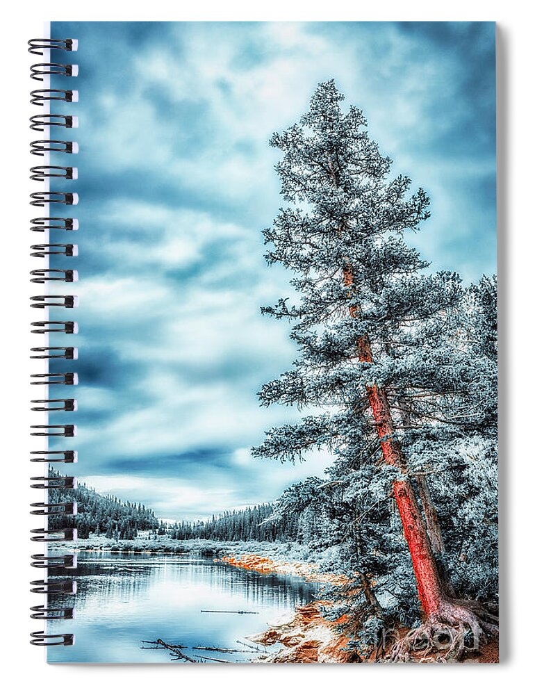 Tree Spiral Notebook featuring the photograph Echo Lake #2 by Bill Frische