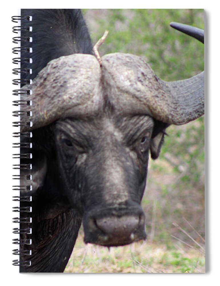  Spiral Notebook featuring the photograph 2 by Eric Pengelly