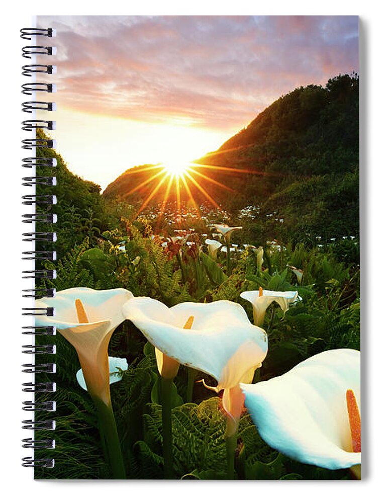 Estock Spiral Notebook featuring the digital art Field With Calla Lilly Flowers #2 by Maurizio Rellini