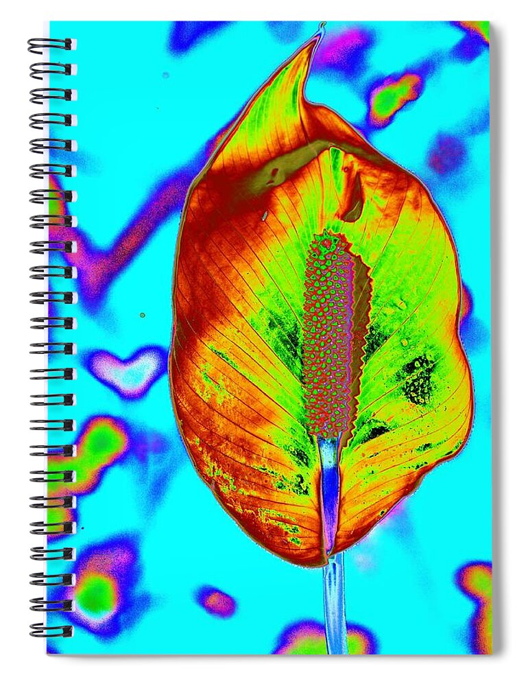 Flower Spiral Notebook featuring the photograph Fired Up Anthurium by Richard Henne