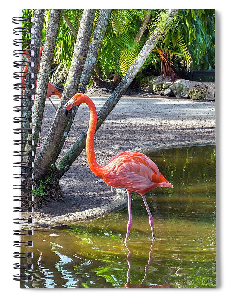 Estock Spiral Notebook featuring the digital art Flamingo Gardens, Davie, Fl #2 by Lumiere