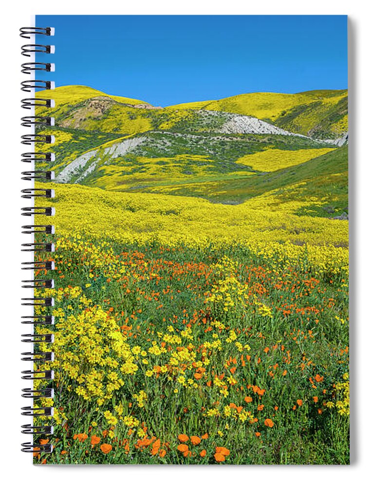 00568647 Spiral Notebook featuring the photograph Hillside Daisy, Superbloom, Temblor Range, Carrizo Plain Nm, California #2 by Tim Fitzharris