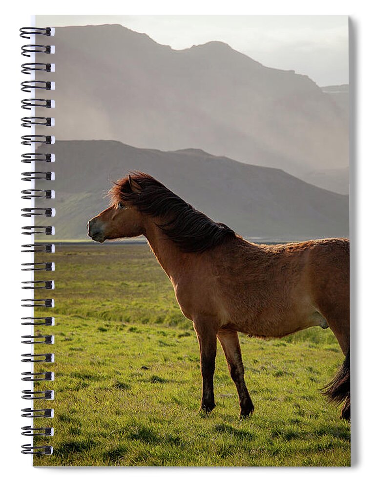 Iceland Spiral Notebook featuring the photograph Icelandic Horse #2 by Peter OReilly