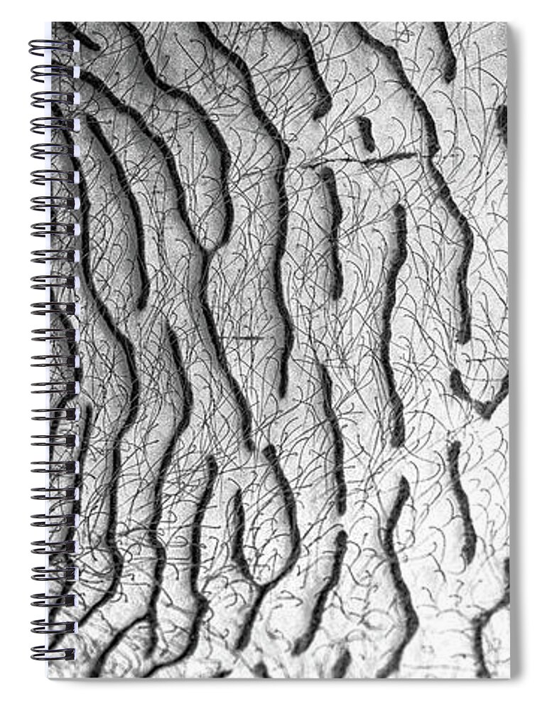 Flower Spiral Notebook featuring the photograph Inner flower abstract details #2 by Michalakis Ppalis