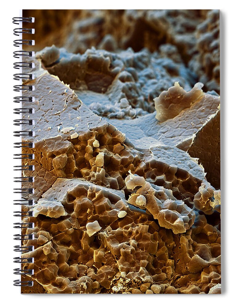 Agriculture Spiral Notebook featuring the photograph Rice Grain #2 by Meckes/ottawa