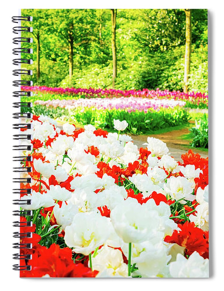 Netherlands Spiral Notebook featuring the photograph Tulips Garden #1 by Anastasy Yarmolovich