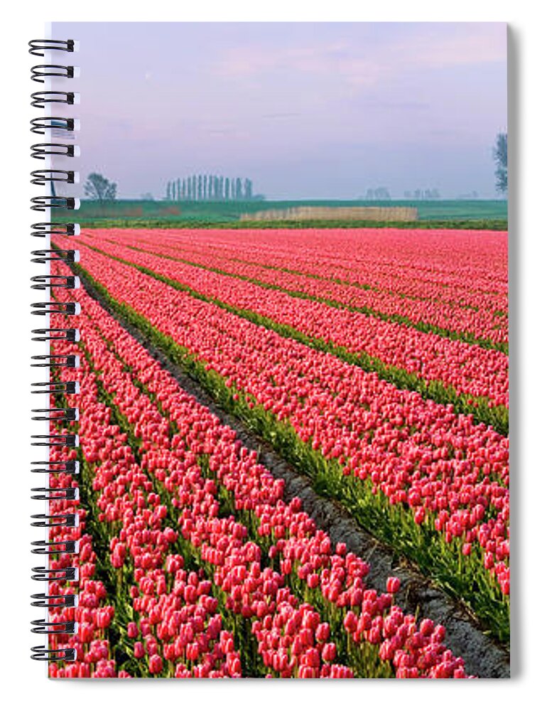 Scenics Spiral Notebook featuring the photograph Tulips And Windmill #2 by Jacobh
