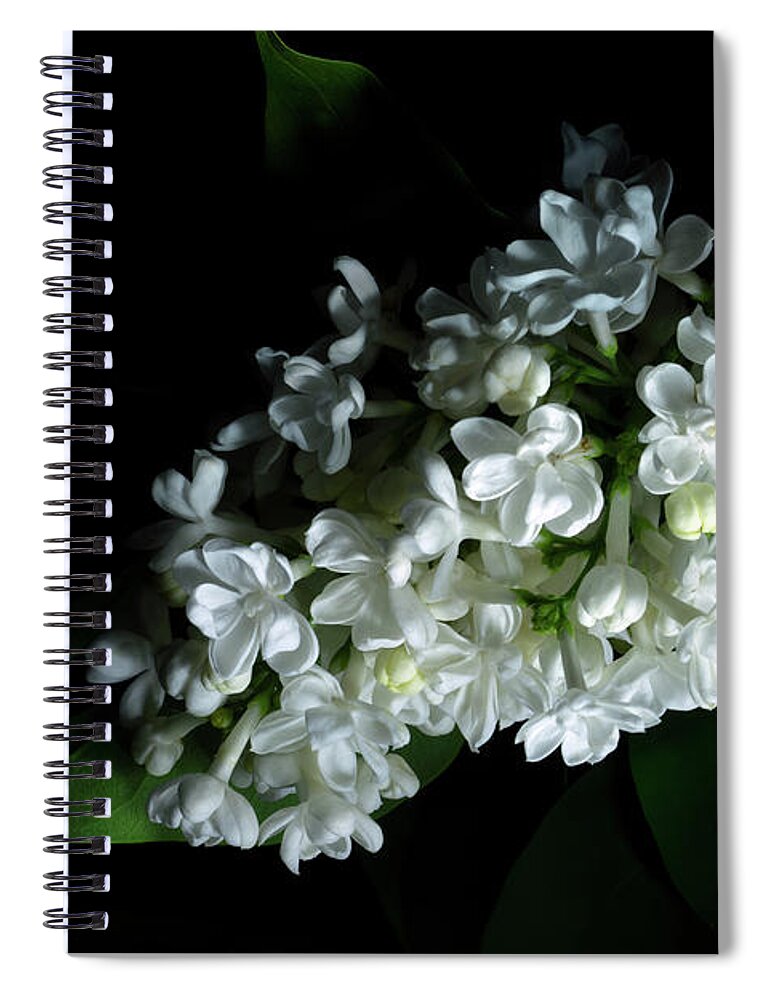 White Lilac Spiral Notebook featuring the photograph White Lilac #3 by Ann Garrett