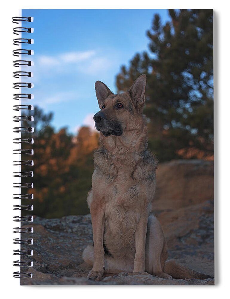 Animal Spiral Notebook featuring the photograph Liesl #28 by Brian Cross