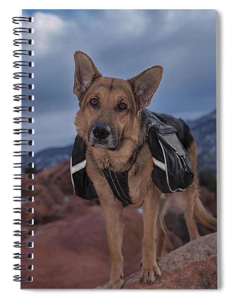 Animal Spiral Notebook featuring the photograph Liesl #29 by Brian Cross