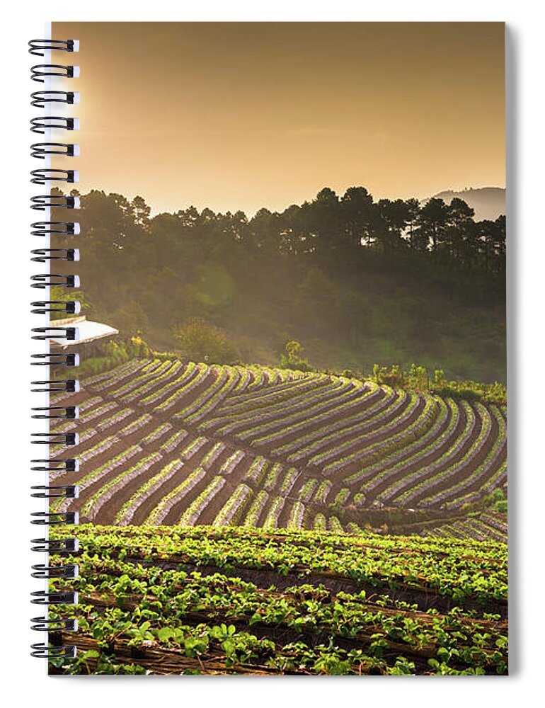 Scenics Spiral Notebook featuring the photograph Beautiful Sunshine At Misty Morning #3 by Primeimages