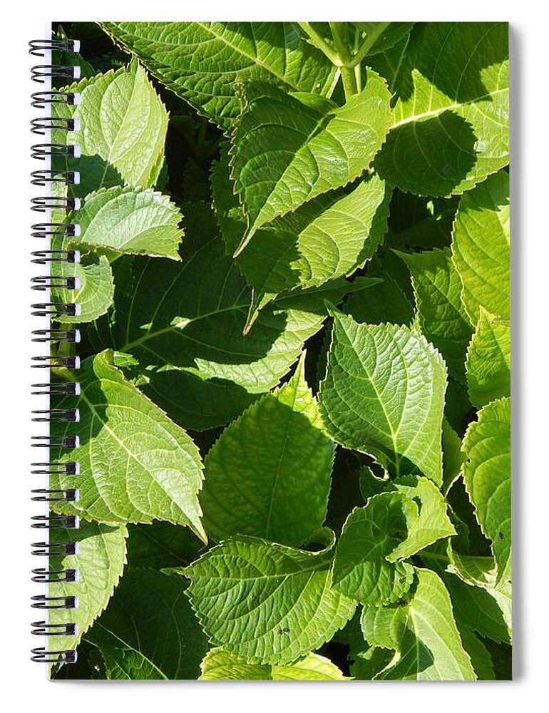 Landscape Spiral Notebook featuring the photograph Green background and the landscape in the park #3 by Oleg Prokopenko