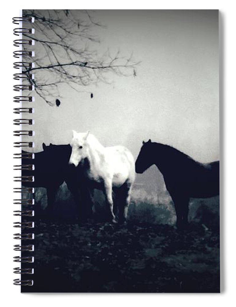 Horses Spiral Notebook featuring the photograph Misty Morning by Rabiah Seminole
