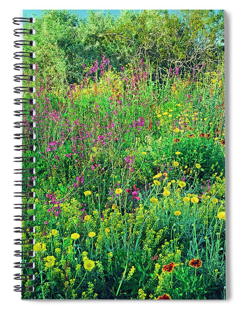 Tranquility Spiral Notebook featuring the photograph Phoenix Botanical Gardens #3 by Richard Felber