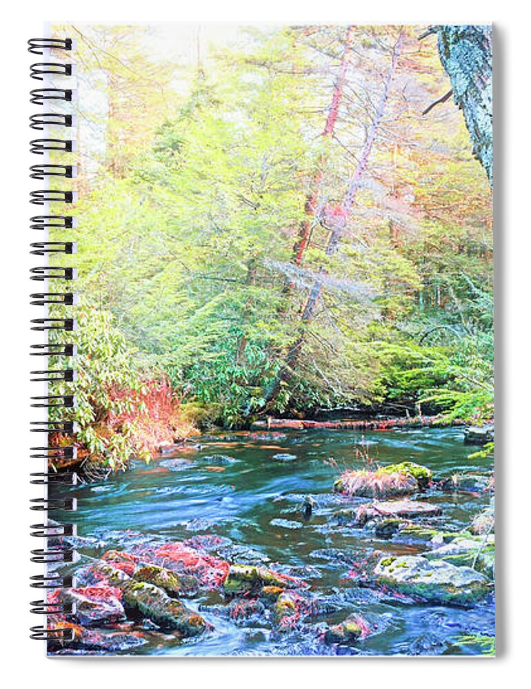 Color Spiral Notebook featuring the photograph Pocono Mountain Stream, Pennsylvania #3 by A Macarthur Gurmankin