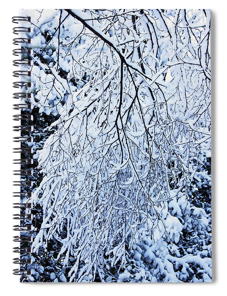 Rivington Spiral Notebook featuring the photograph 30/01/19 RIVINGTON. Snow Covered Branches. by Lachlan Main