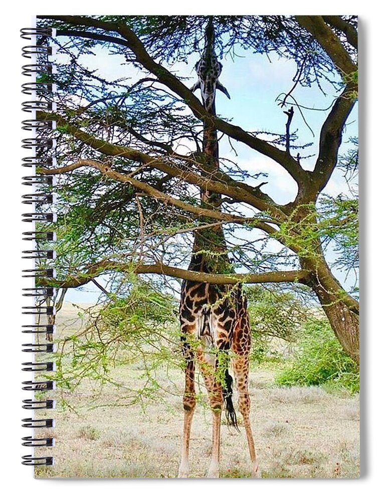 Ig_allnature Spiral Notebook featuring the photograph #nature #nature_lovers #2 by Masako Takagi
