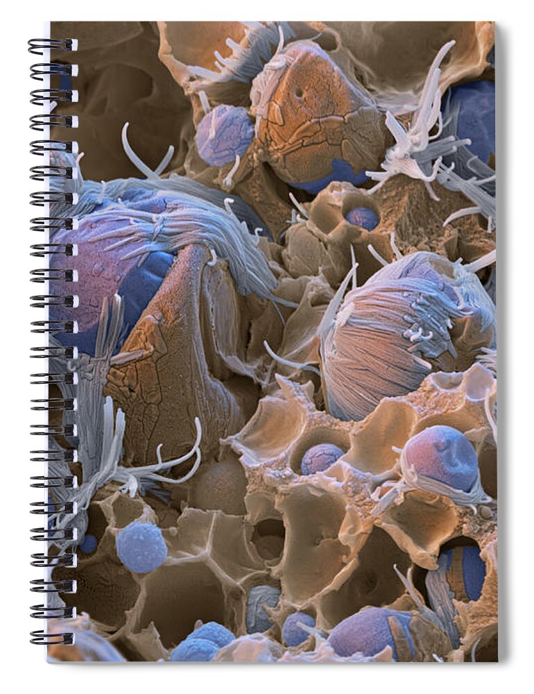 Chemistry Spiral Notebook featuring the photograph Polyacrylic Acid Sem by Meckes/ottawa