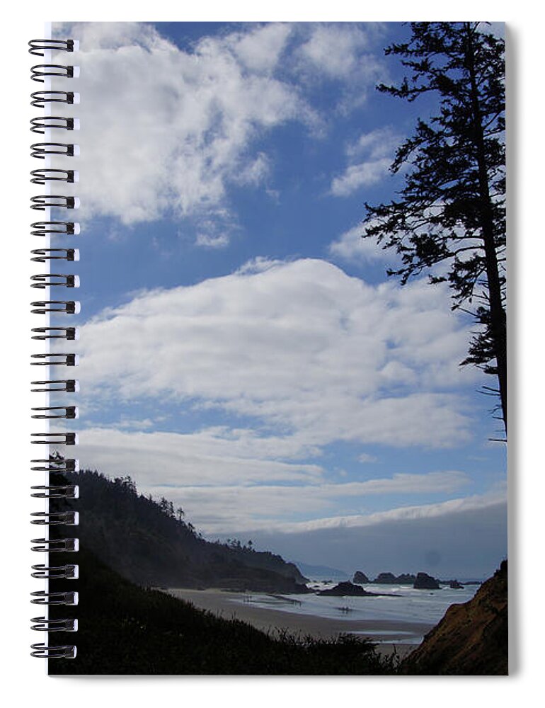 Beach Spiral Notebook featuring the photograph Silhouette of large conifers on coastal headland #4 by Steve Estvanik