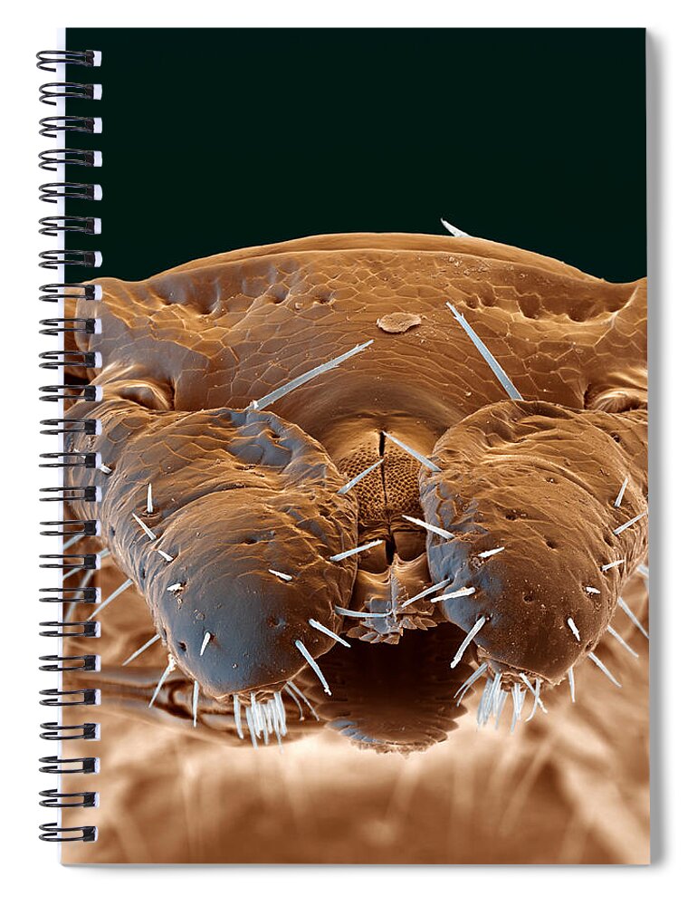 Arachnid Spiral Notebook featuring the photograph Tick #5 by Eye of Science