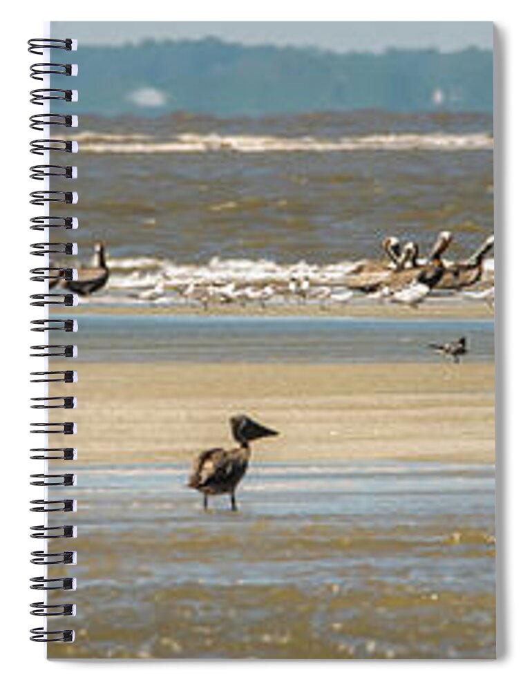 Brown Spiral Notebook featuring the photograph Abstract Pelicans In Flight At The Beach Of Atlantic Ocean #5 by Alex Grichenko