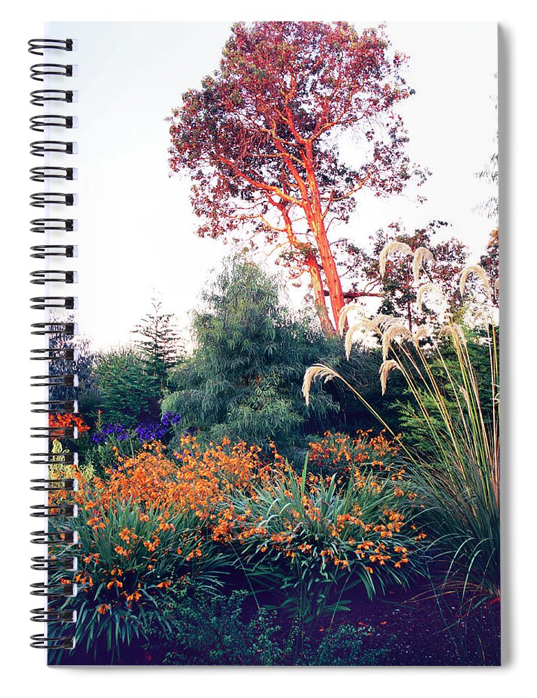 Scenics Spiral Notebook featuring the photograph Dan Hinkley Garden #5 by Richard Felber