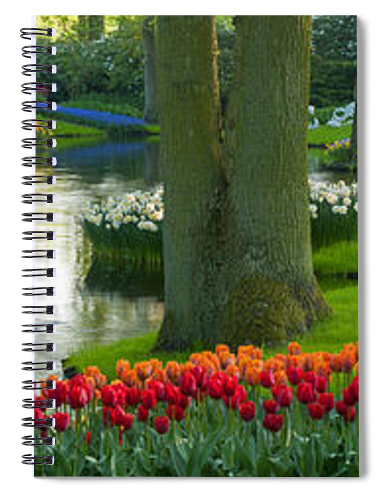 Scenics Spiral Notebook featuring the photograph Spring Flowers In A Park #5 by Jacobh