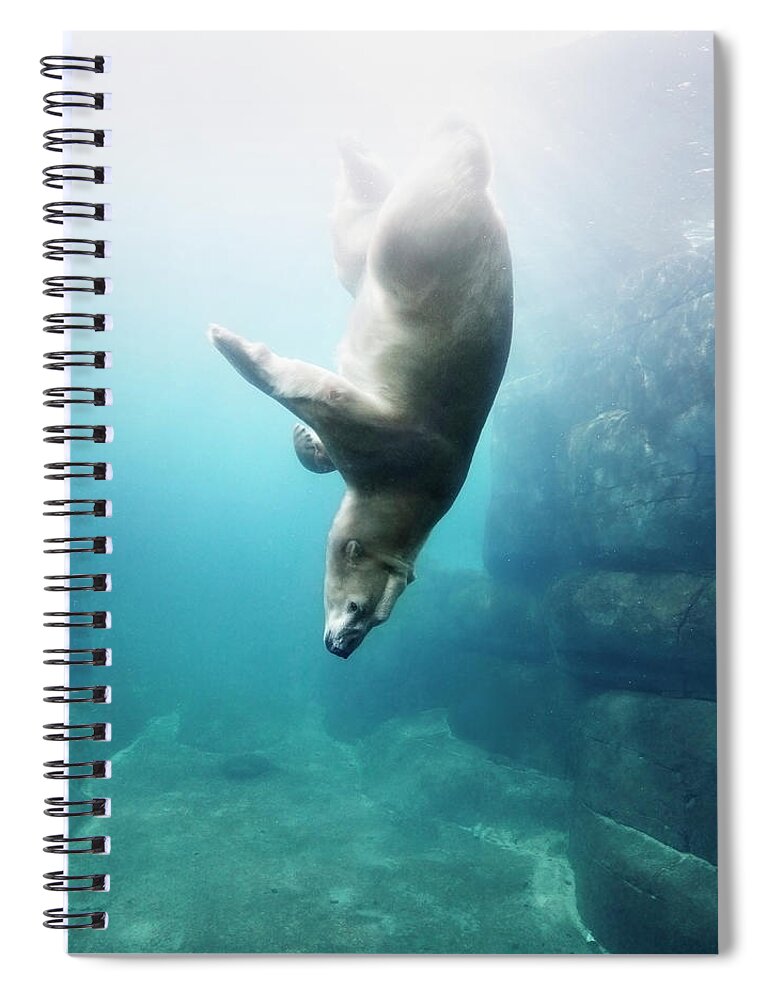 Diving Into Water Spiral Notebook featuring the photograph Polarbear In Water #6 by Henrik Sorensen