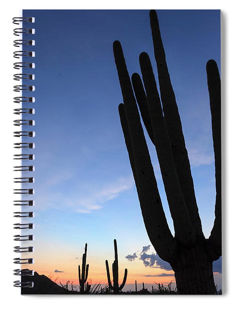 Scenics Spiral Notebook featuring the photograph Usa, Arizona, Tucson, Saguaro National #6 by Michele Falzone