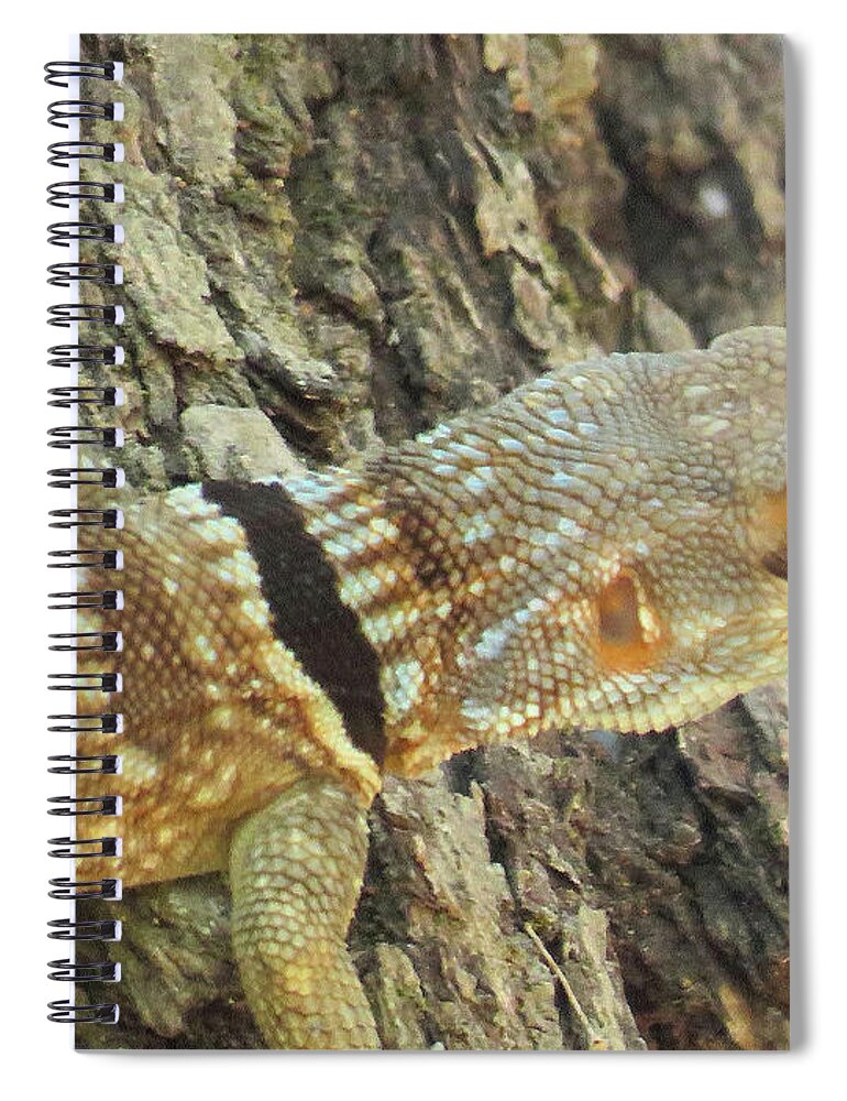 Africa Spiral Notebook featuring the photograph 68 by Eric Pengelly