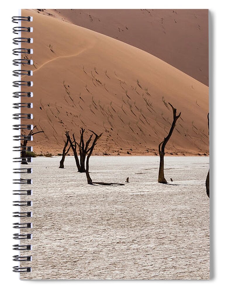 Artistic Spiral Notebook featuring the photograph Deadvlei #8 by Mache Del Campo