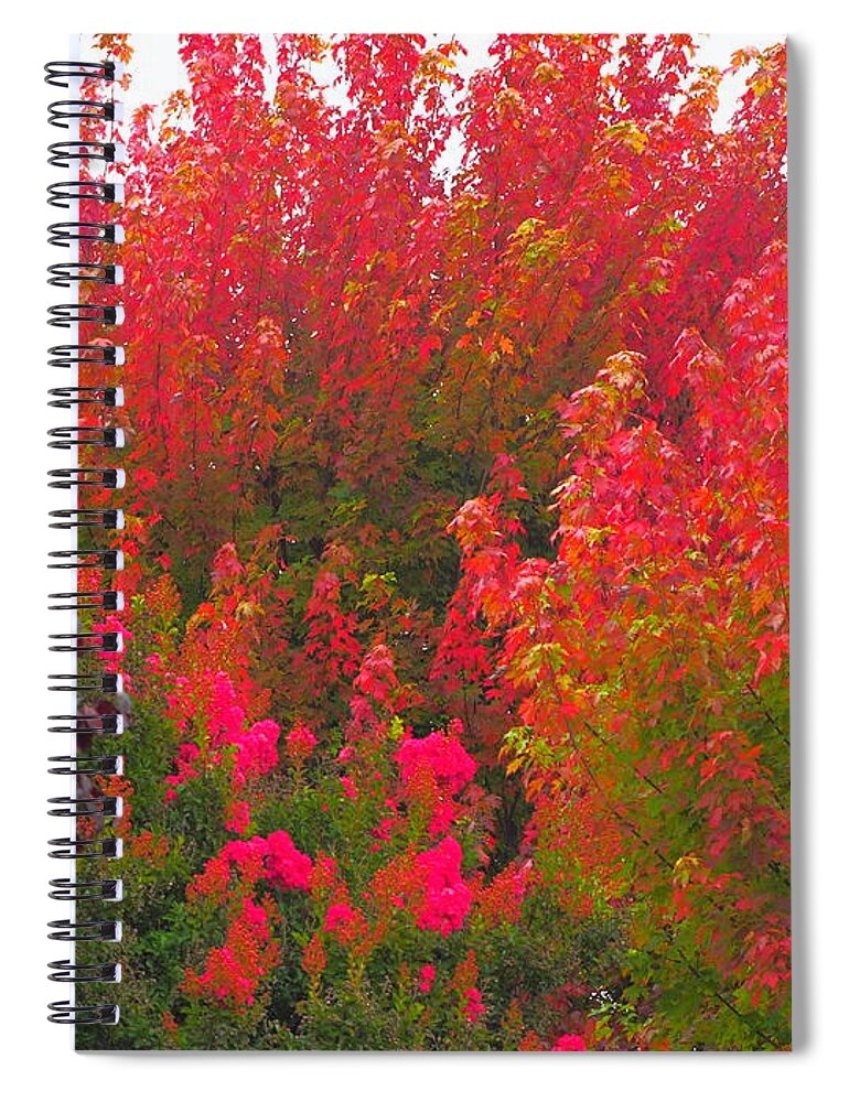 Landscape Spiral Notebook featuring the photograph Neighborhood Diversity #9 by Richard Thomas