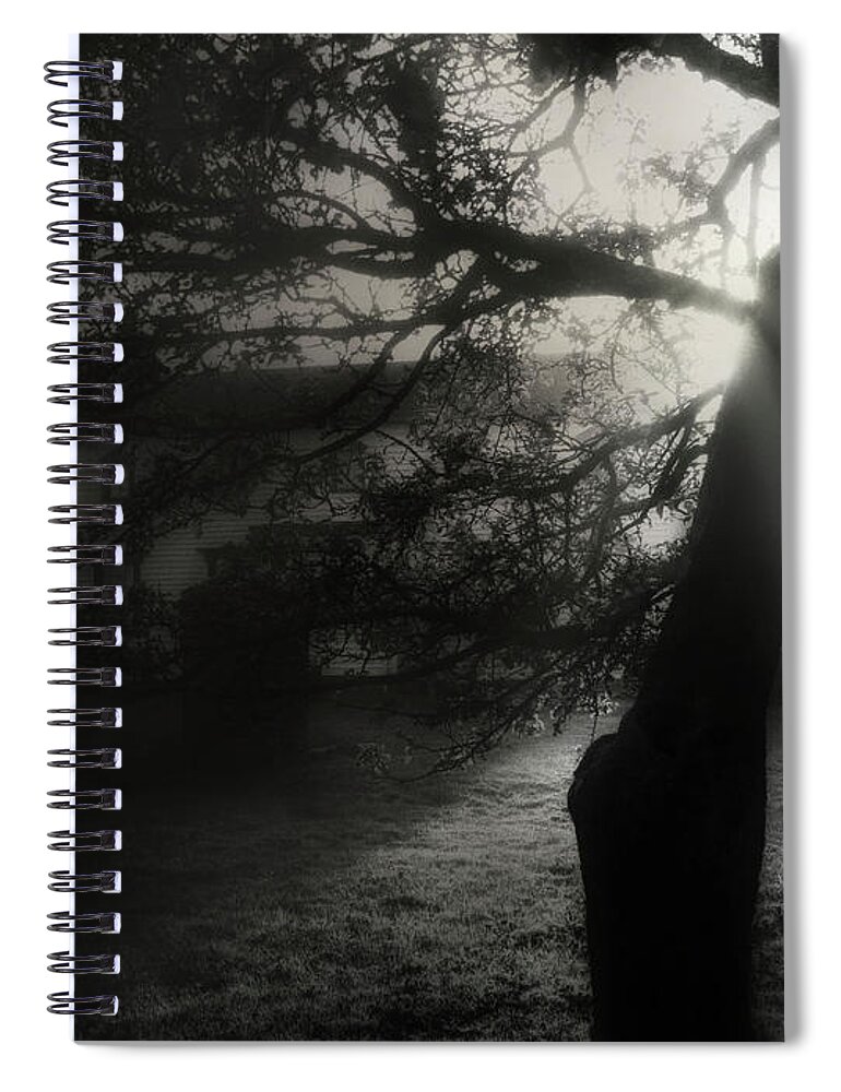  Spiral Notebook featuring the photograph A Brief Clarity by Cybele Moon