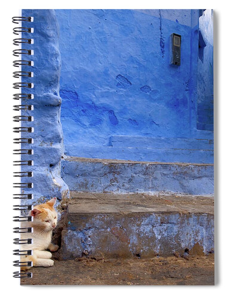 Cat Spiral Notebook featuring the photograph A Cat in Chefchaouen by Nicole Young
