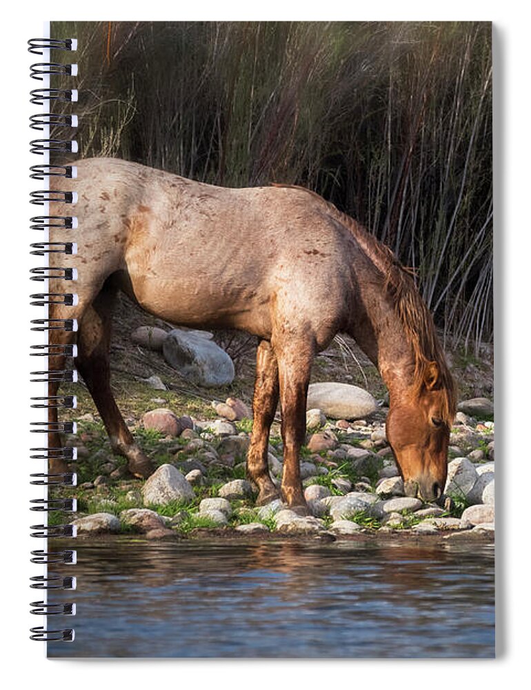 Wild Horses Spiral Notebook featuring the photograph A Cool Drink Riverside by Saija Lehtonen