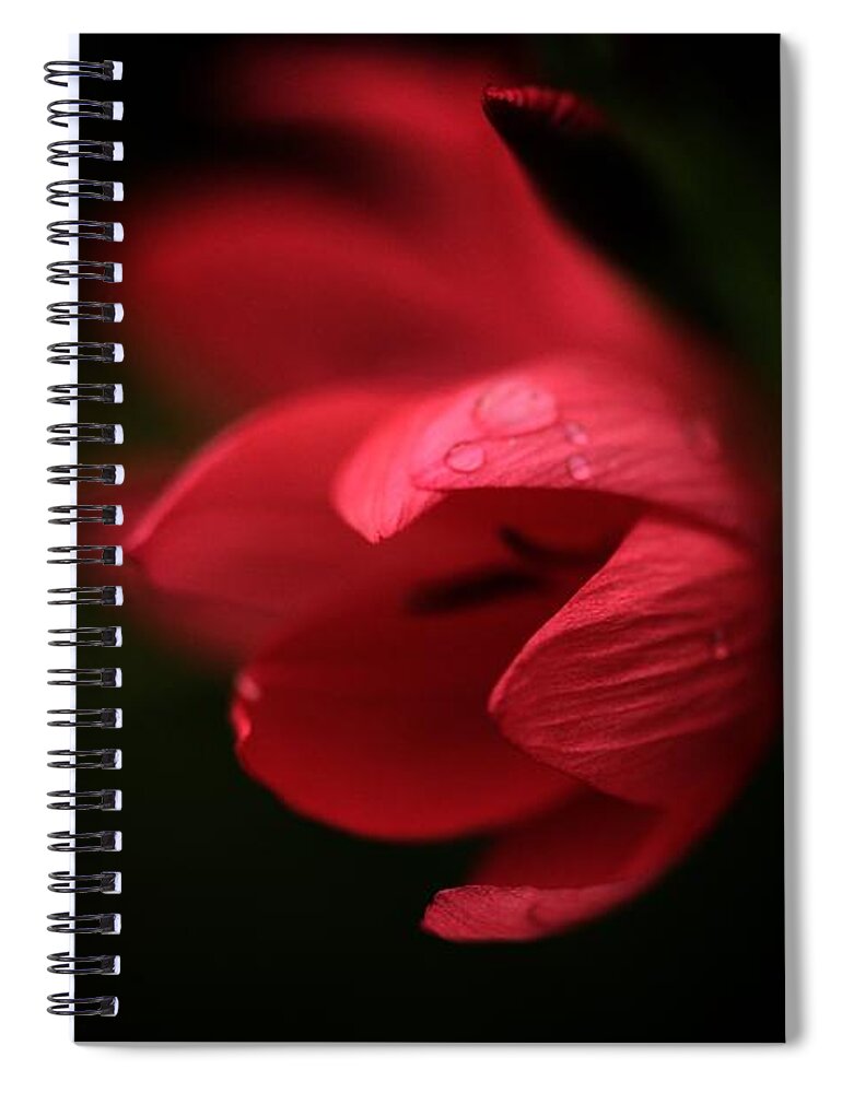 Connie Handscomb Spiral Notebook featuring the photograph A Dollop Of Red by Connie Handscomb