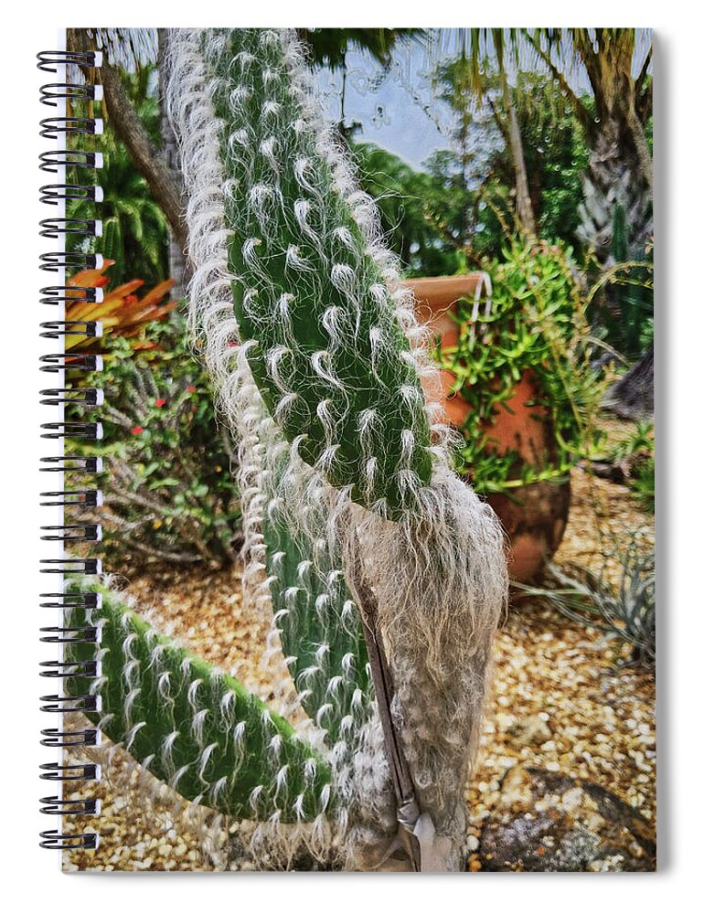 Cactus Spiral Notebook featuring the photograph A Fuzzy One by Portia Olaughlin