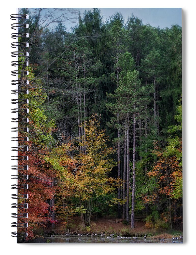 Geese Spiral Notebook featuring the photograph A Gathering by Rosette Doyle