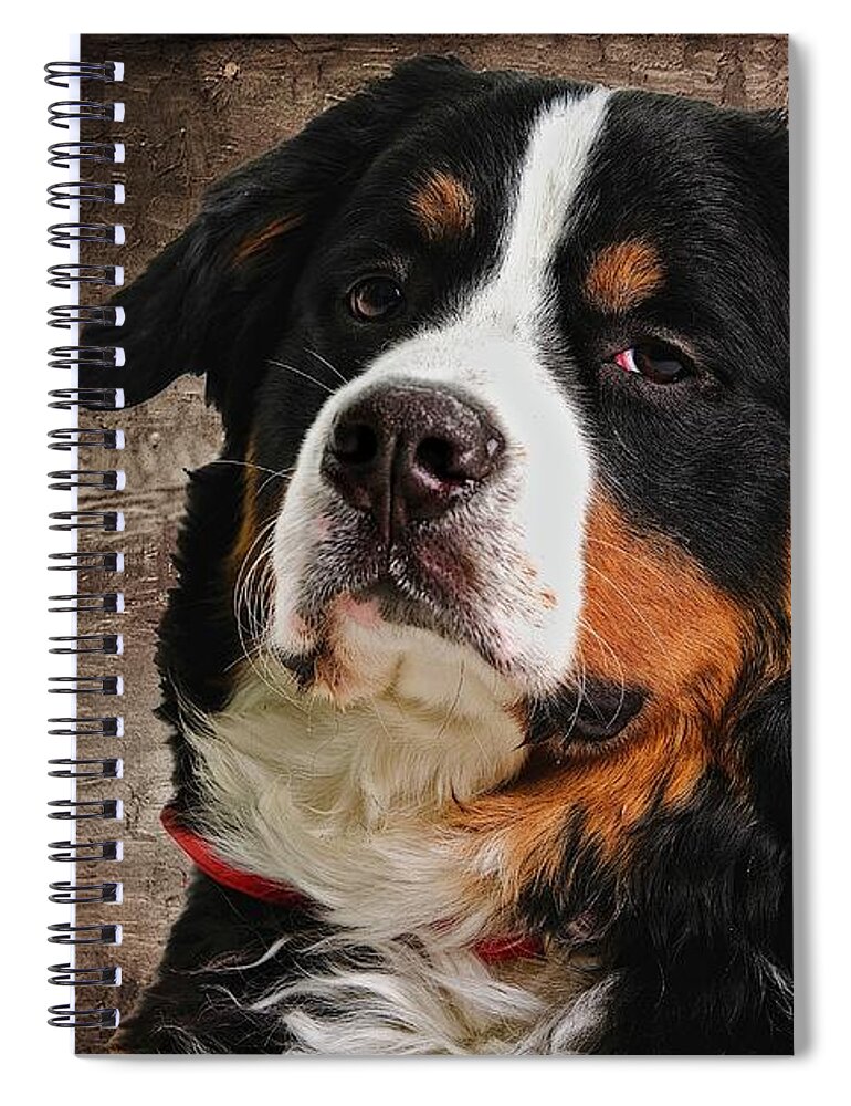 Dog Spiral Notebook featuring the digital art A gloomy Looking Dog by Michelle Liebenberg