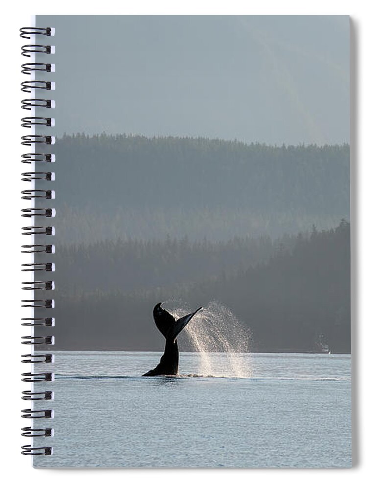 One Animal Spiral Notebook featuring the photograph A Humpback Whale Megaptera Novaeangliae by John Hyde / Design Pics