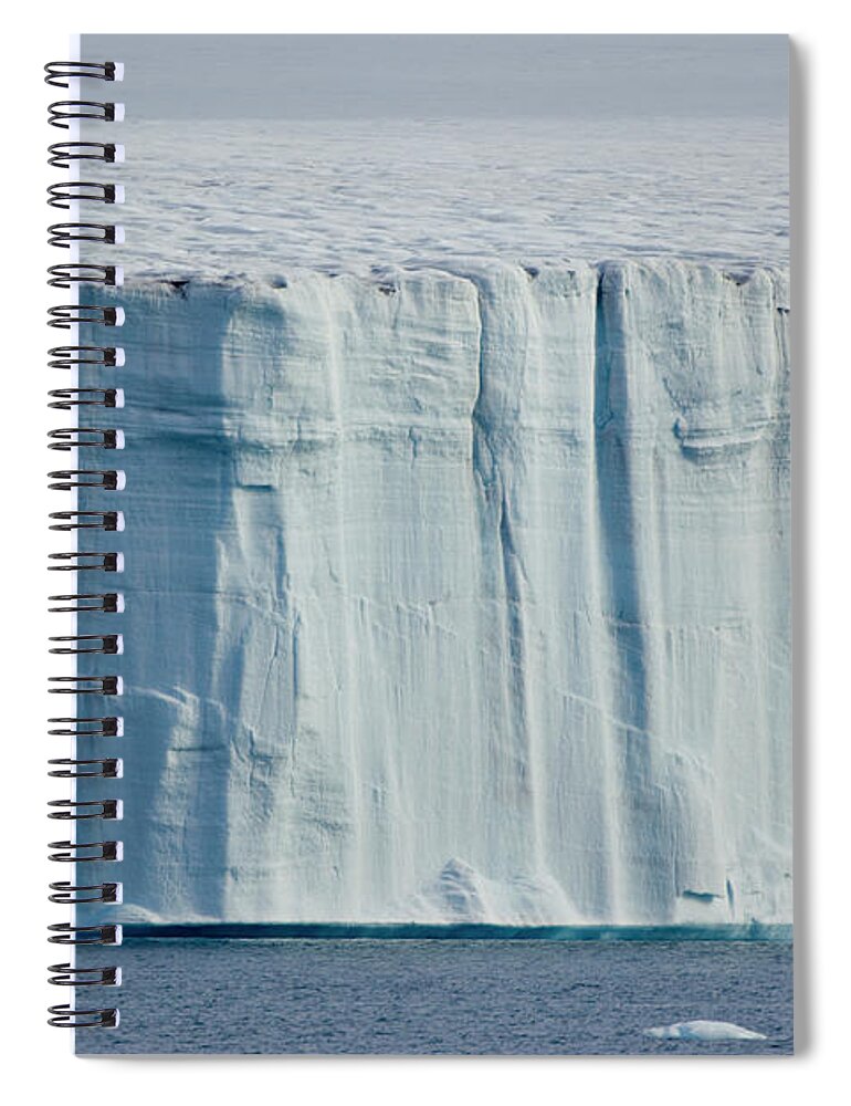 Vertebrate Spiral Notebook featuring the photograph A Large Polar Bear On The Ice by Mint Images - Art Wolfe