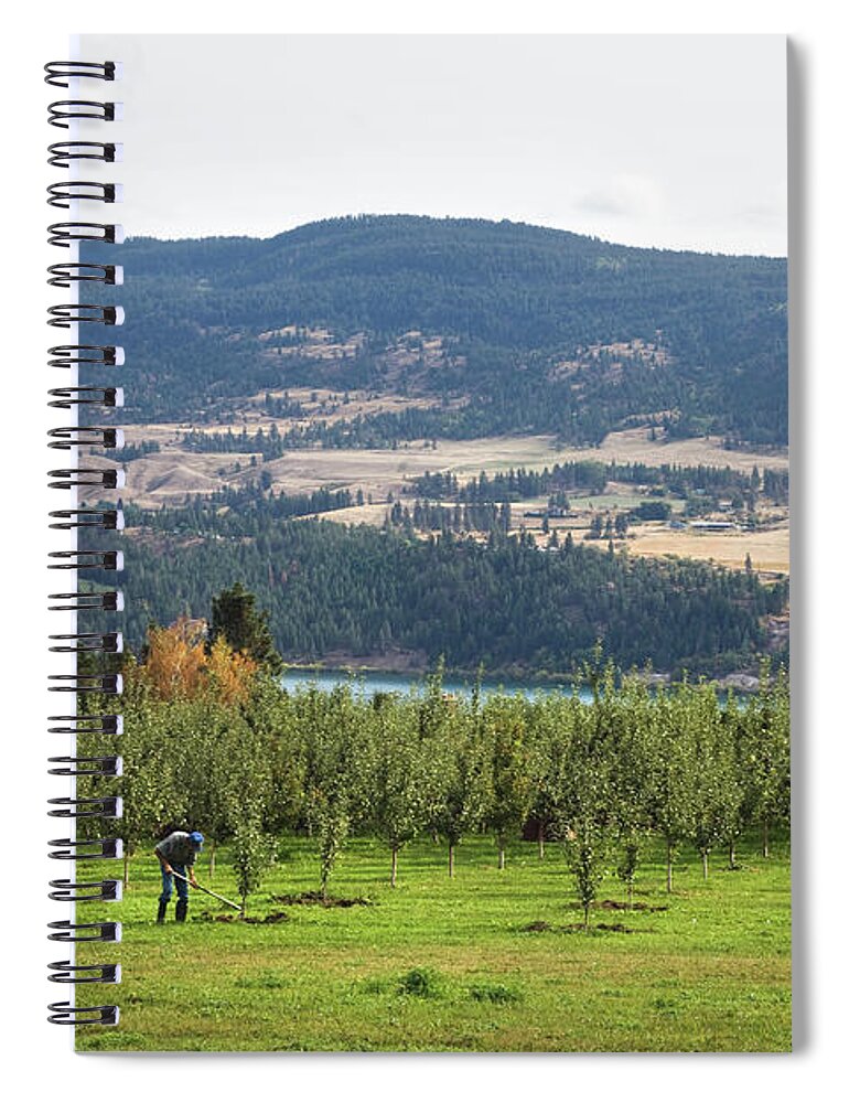 Working Spiral Notebook featuring the photograph A Man Working In An Orchard In The by Benjamin Rondel / Design Pics