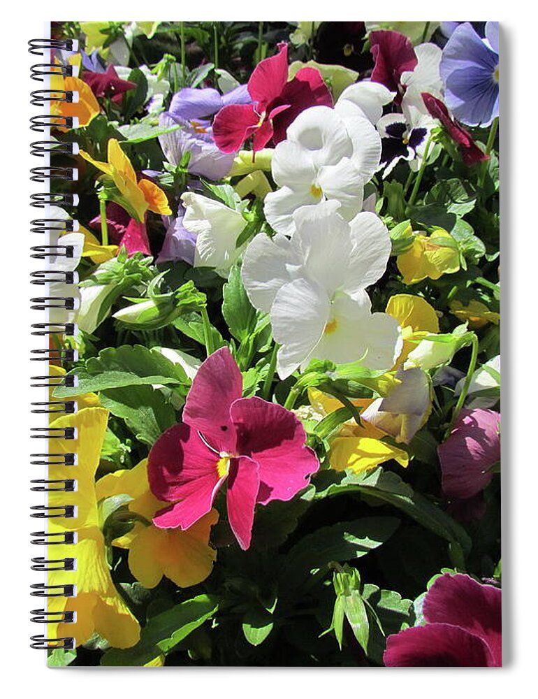 Flowers Spiral Notebook featuring the photograph A Pot of Pansies by Boyd Carter