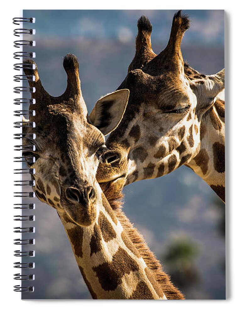  Spiral Notebook featuring the photograph A Romantic Moment by Julian Starks