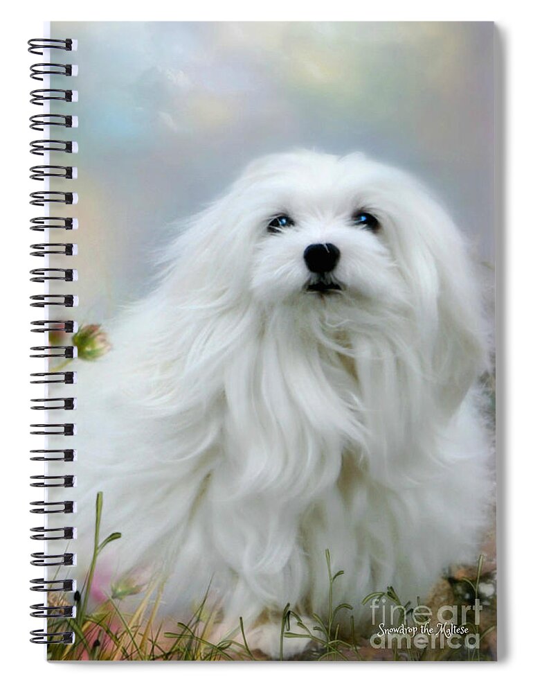 Snowdrop The Maltese Spiral Notebook featuring the photograph A Soft Summer Breeze by Morag Bates