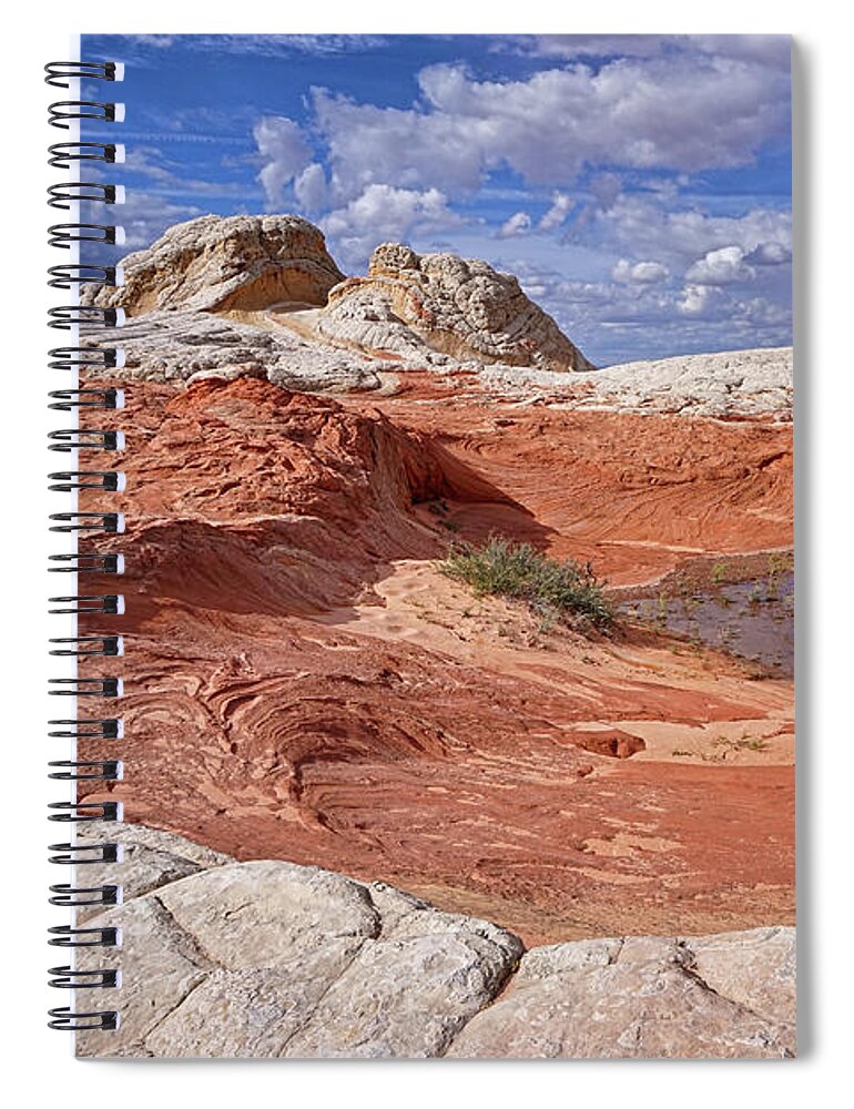 White Pockets Spiral Notebook featuring the photograph A Strange World by Theo O'Connor