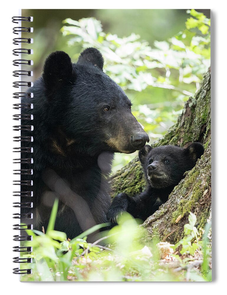 Black Spiral Notebook featuring the photograph A Sunny Morning With Mom by Everet Regal