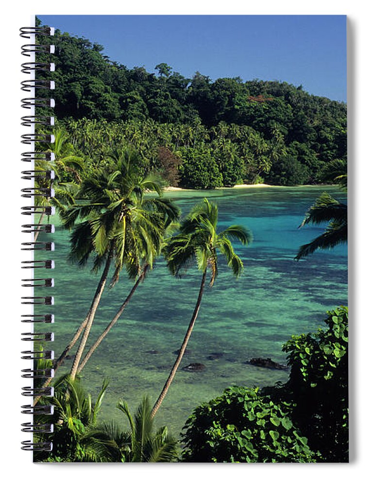 Tropical Rainforest Spiral Notebook featuring the photograph A Tropical Paradise Of A Beach And Palm by Tammy616