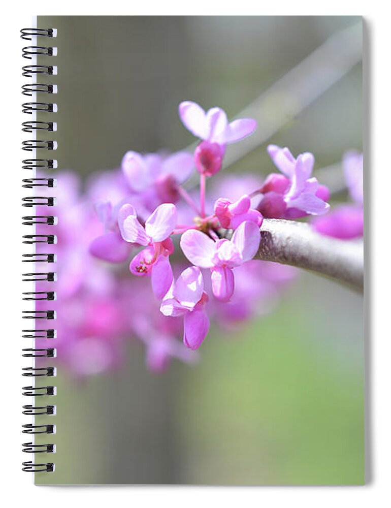 Red Buds Spiral Notebook featuring the photograph Absence by Michelle Wermuth