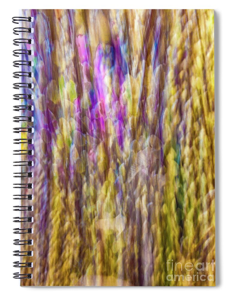 Abstract Spiral Notebook featuring the photograph Abstract food pastel by Phillip Rubino